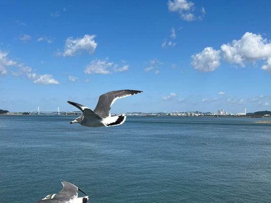 How Many Days Do You Really Need in Korea?